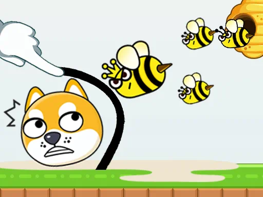 เกมปริศนา Save My Pet รูปปก
